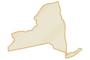 New York Map Icon
